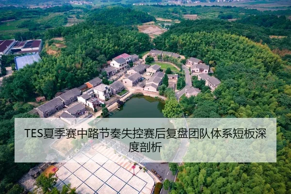 TES夏季赛中路节奏失控赛后复盘团队体系短板深度剖析